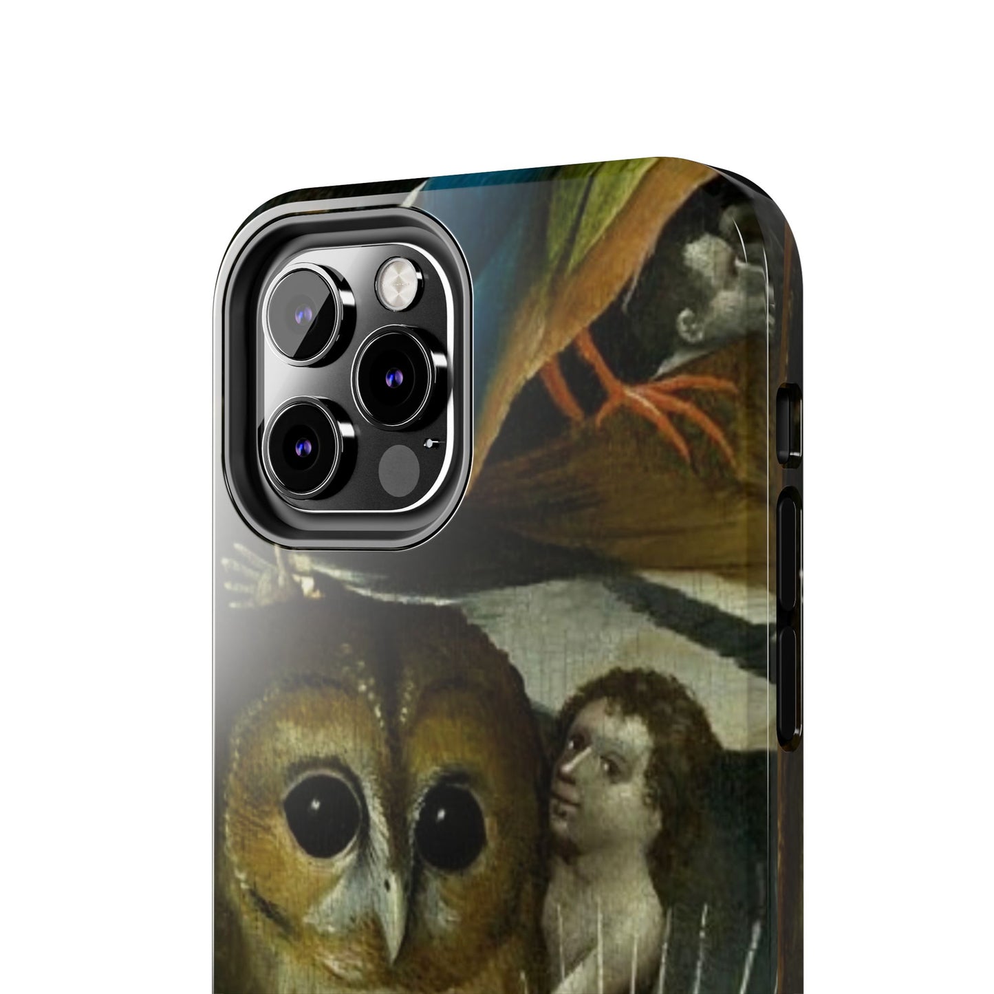 Owl detail by Hiernonymus Bosch