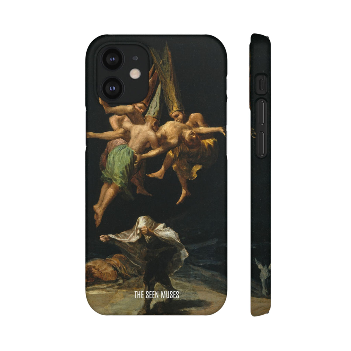 Witches Flight by Francisco Goya