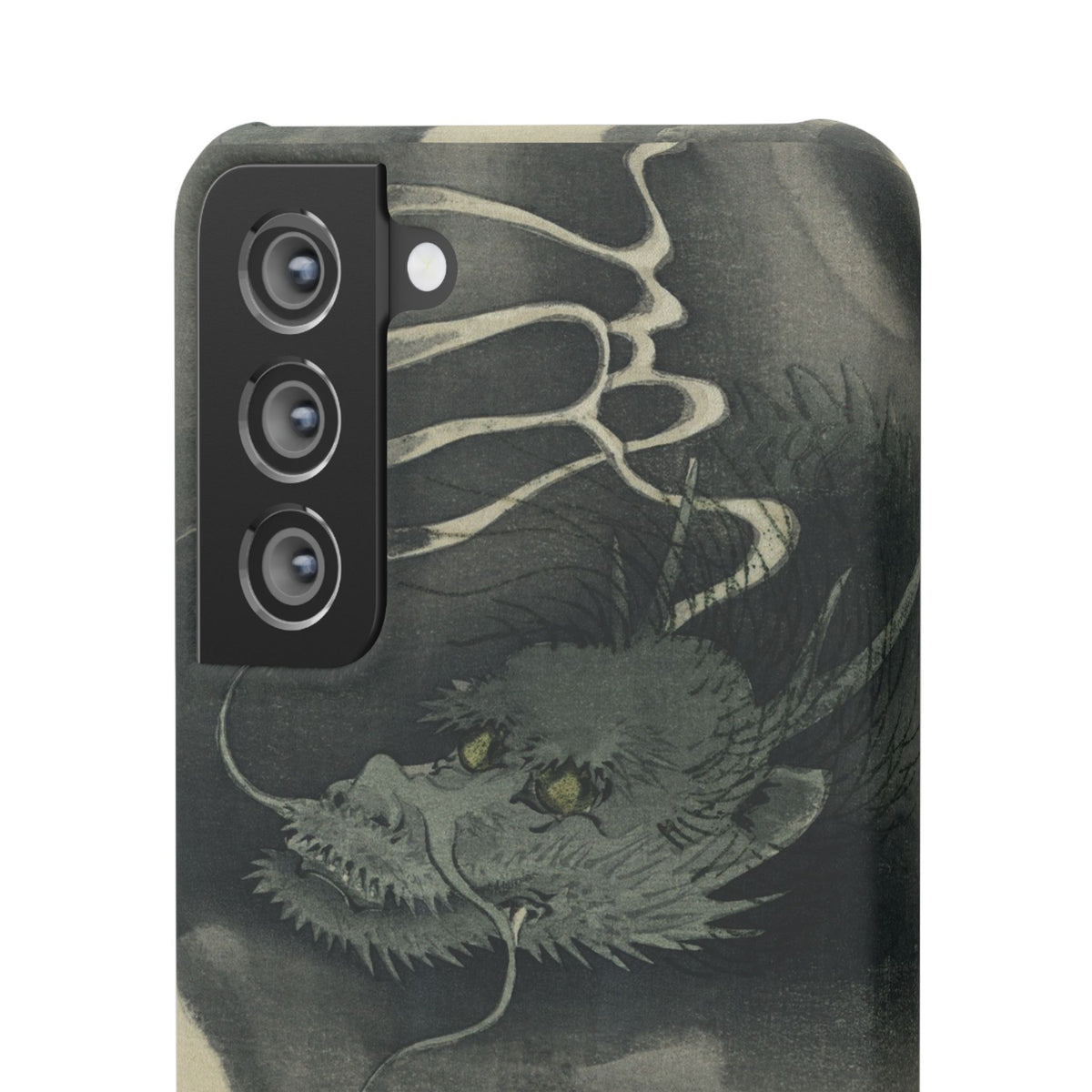 Japanese dragon, Ukiyo-e print (1892)