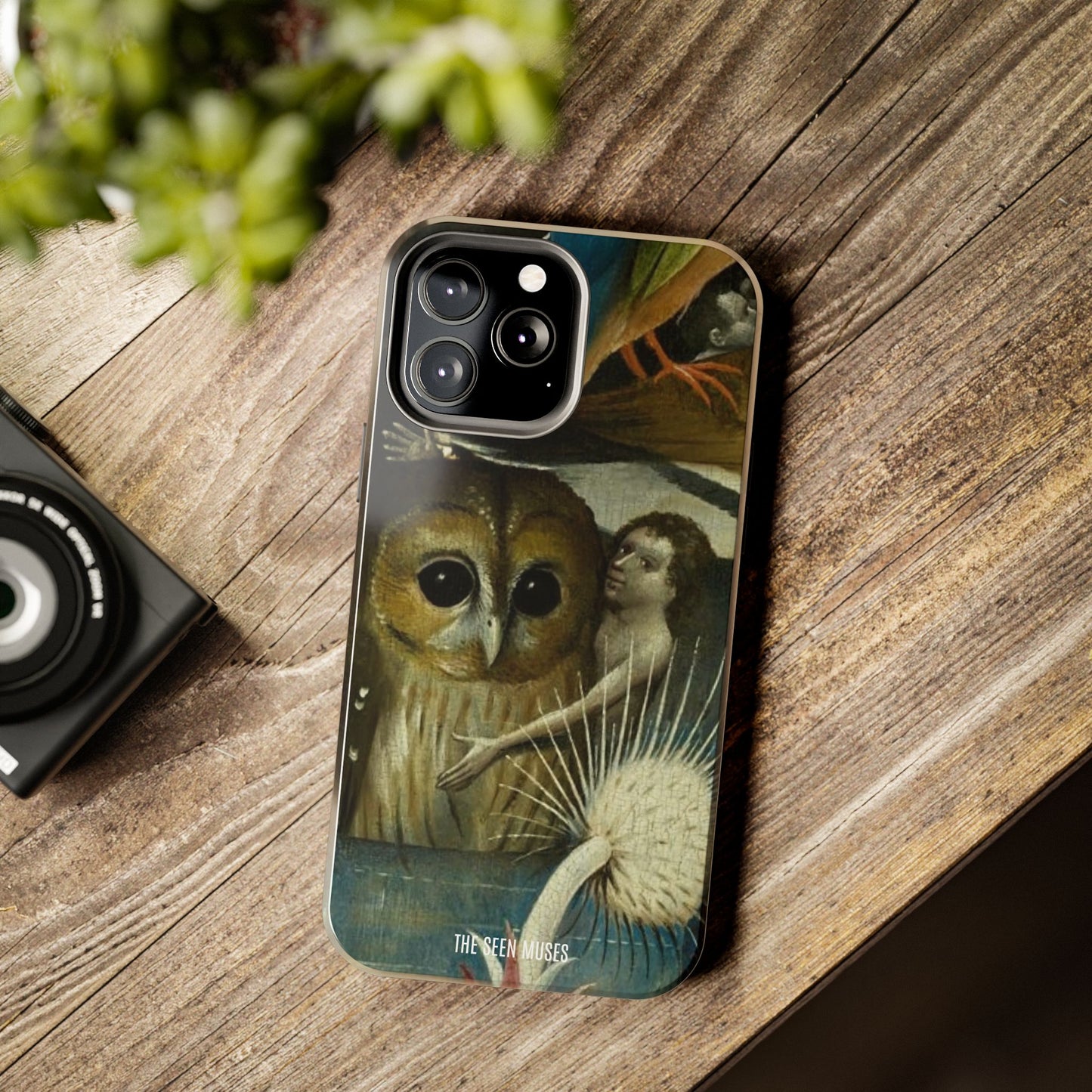 Owl detail by Hiernonymus Bosch