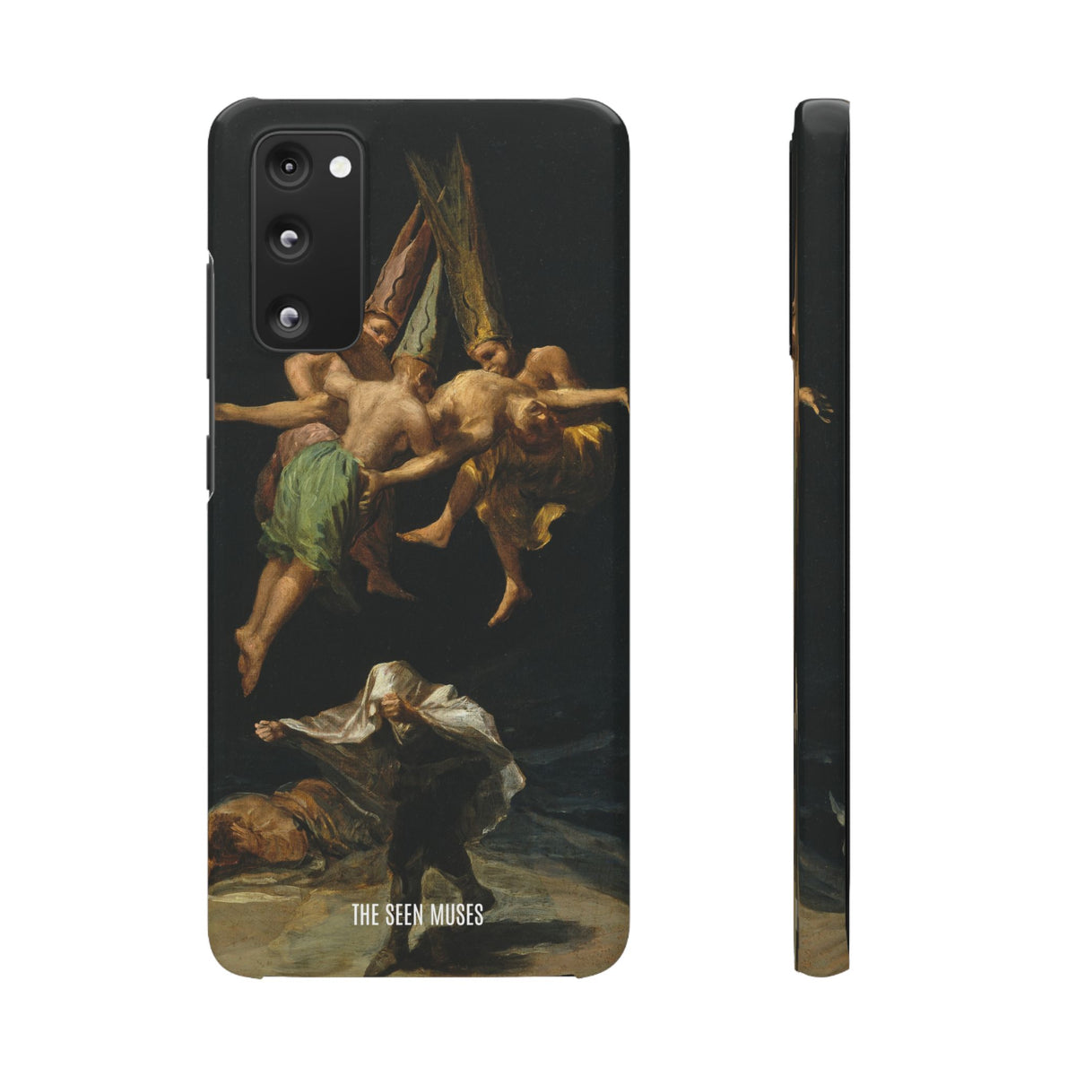 Witches Flight by Francisco Goya