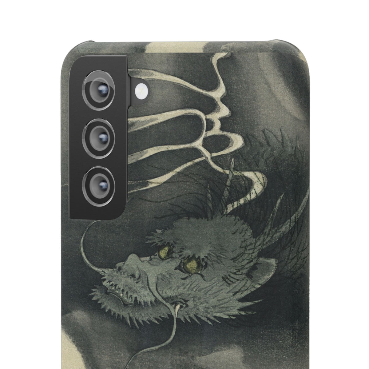 Japanese dragon, Ukiyo-e print (1892)