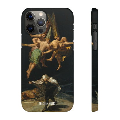 Witches Flight by Francisco Goya