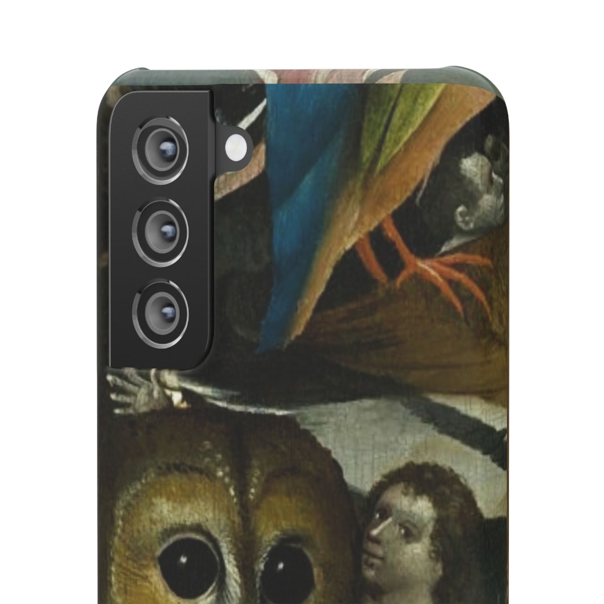 Owl detail by Hieronymus Bosch
