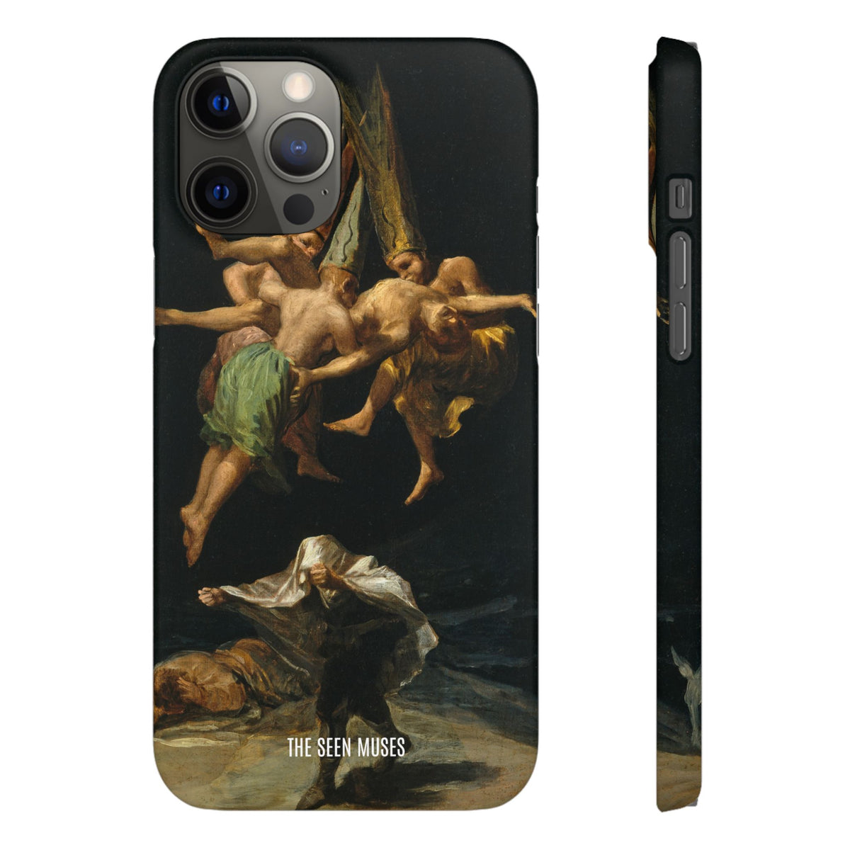 Witches Flight by Francisco Goya