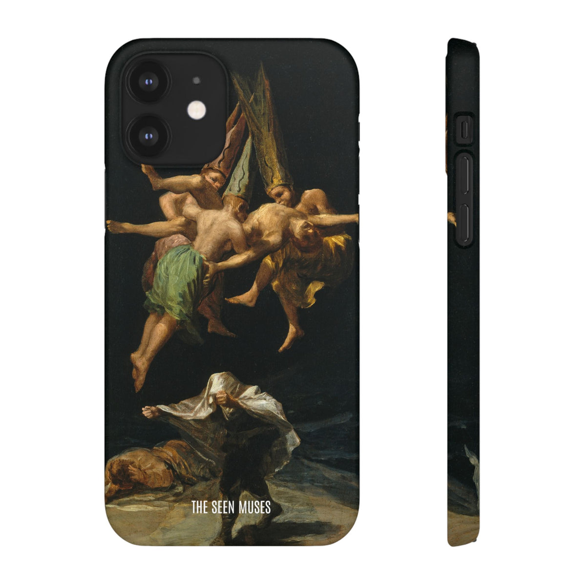 Witches Flight by Francisco Goya