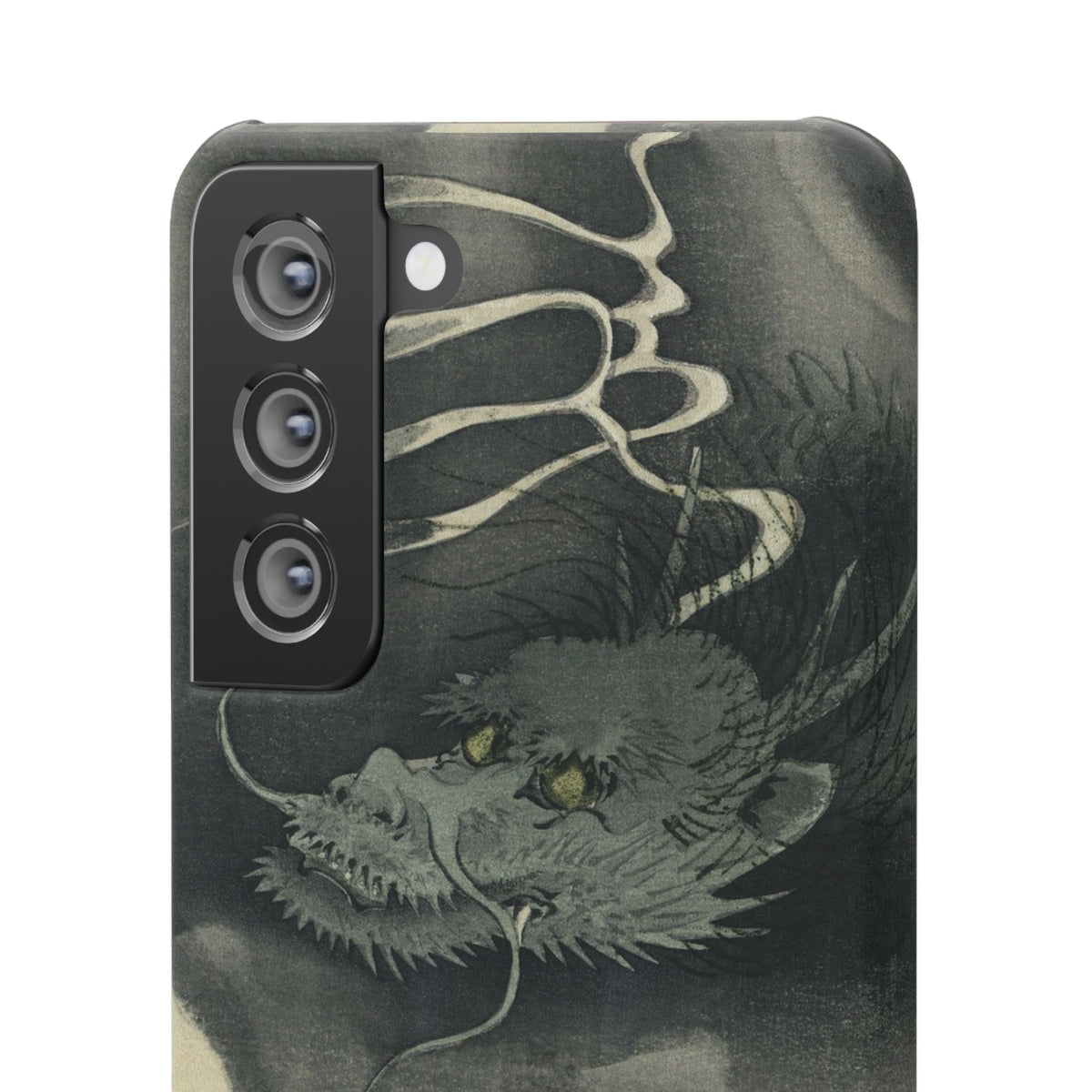 Japanese dragon, Ukiyo-e print (1892)