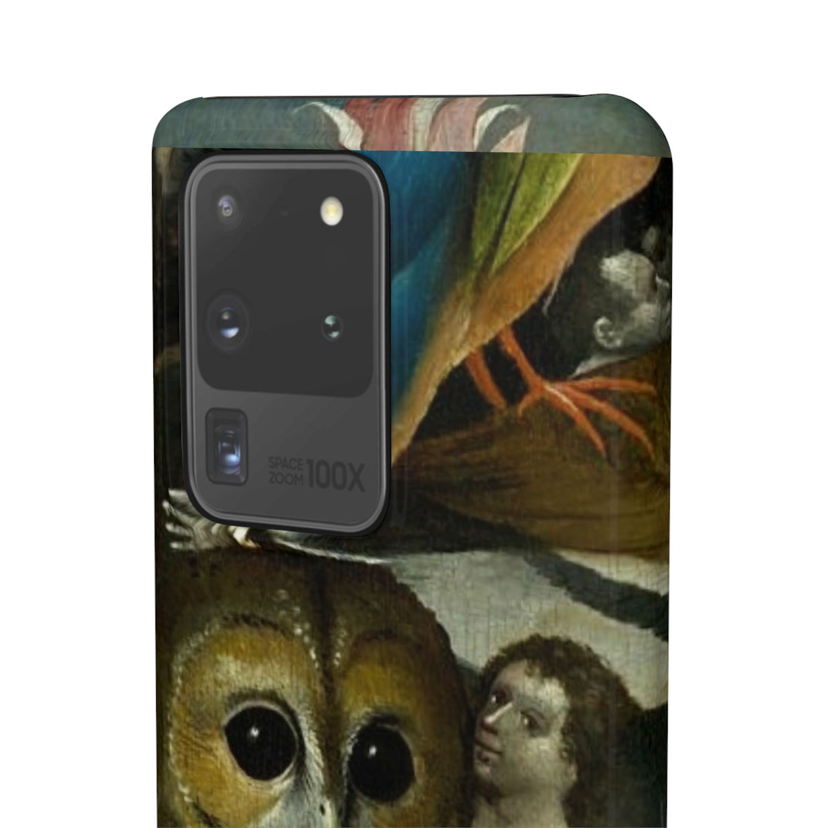 Owl detail by Hieronymus Bosch