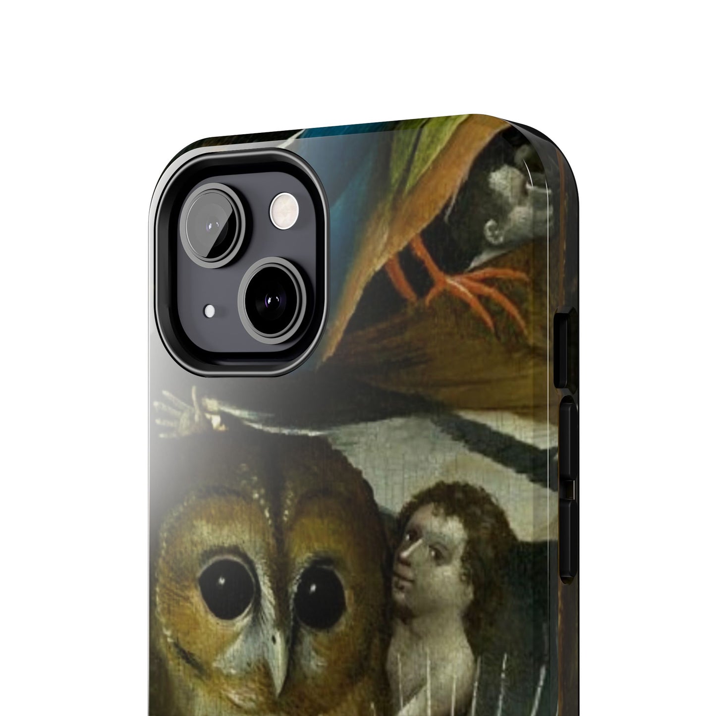 Owl detail by Hiernonymus Bosch