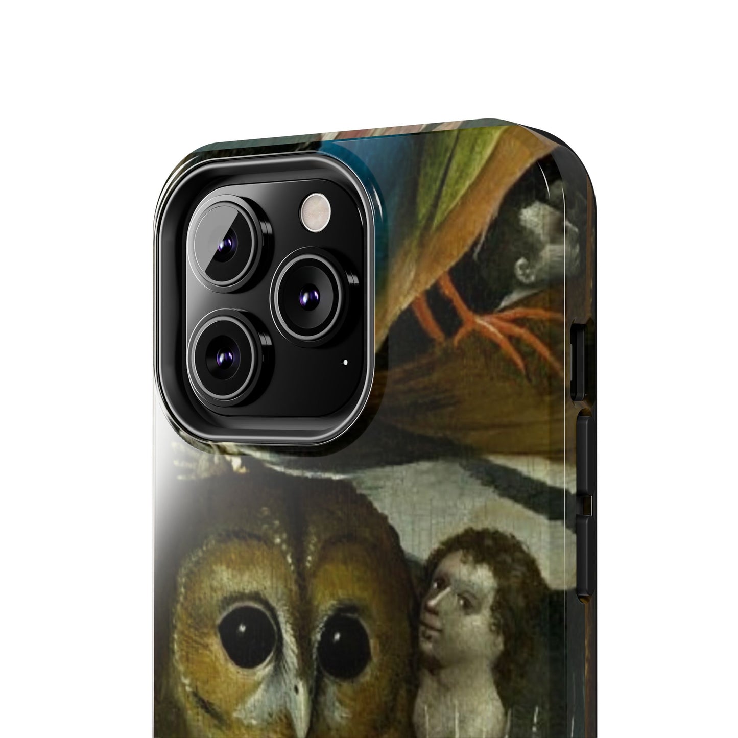 Owl detail by Hiernonymus Bosch