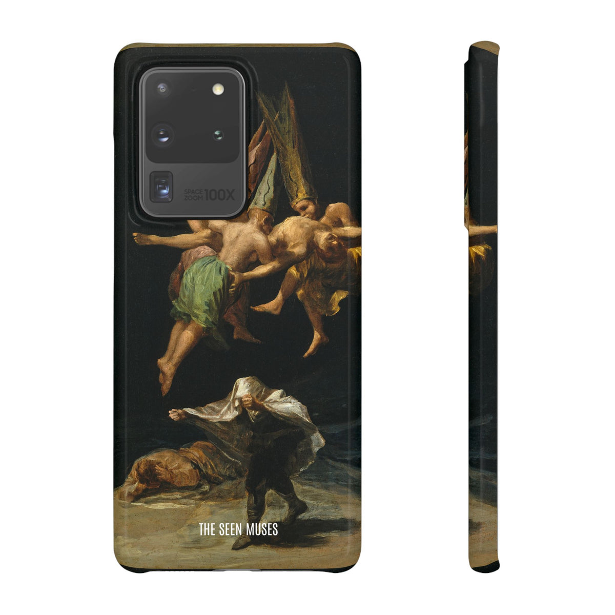 Witches Flight by Francisco Goya